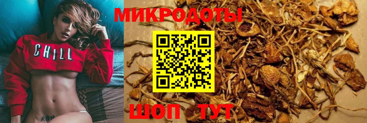 Псилоцибиновые грибы Psilocybine cubensis  Вход с VPN  Мичуринск  Галлюциногенные грибы мицелий 